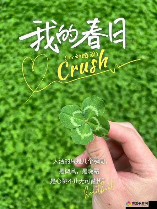 日本电影三叶草的春天感想：对青春与希望的深度探索