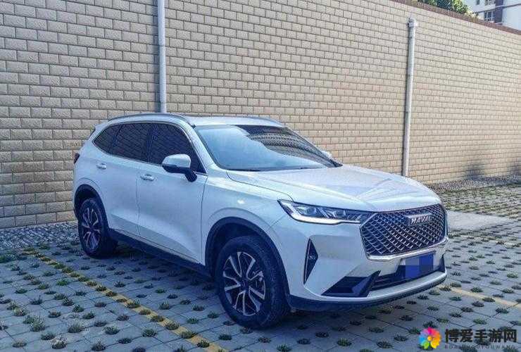 国产 SUV 精品一区二区 6 有什么特点：详细解析其优势与特色