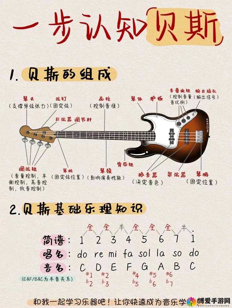 BBOX 入门 BASS：基础教学与进阶技巧分享