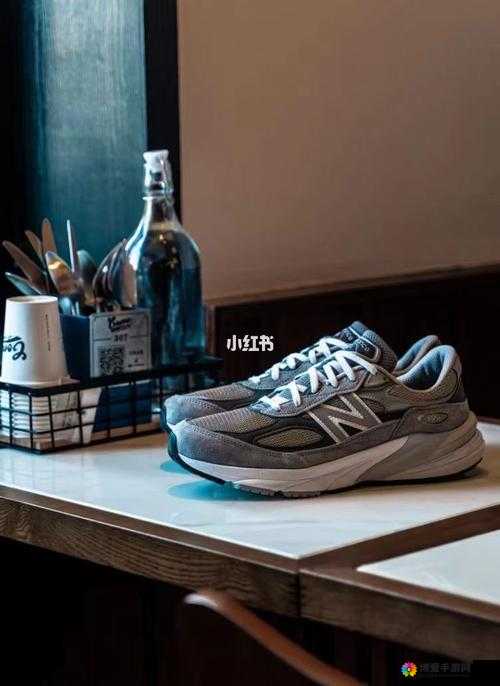 990v6 美版和亚洲版区别拥有高质量内容：深度解析与全方位对比
