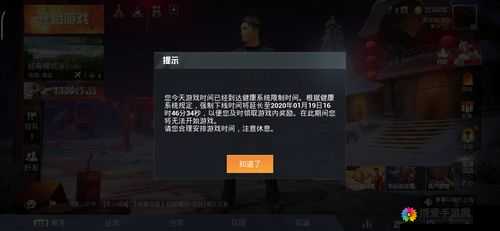 和平精英健康系统16+，意义、管理技巧与价值分析