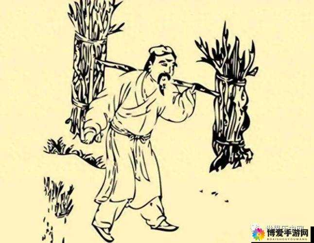 从柴禾垛的疯狂中探寻人性的复杂与救赎之路
