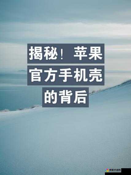 Apple 私人免费网站如何：探寻其背后的秘密与价值