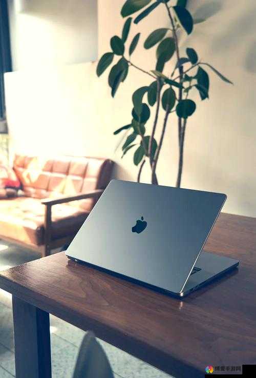 欧美 MACBOOKPRO 高清：极致视觉体验之选