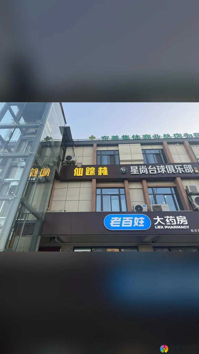 2024 仙踪林站诚挚欢迎您的到来