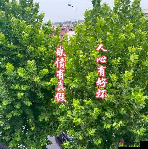 国产精品嫩草久久久久带来独特视觉享受与深刻情感触动