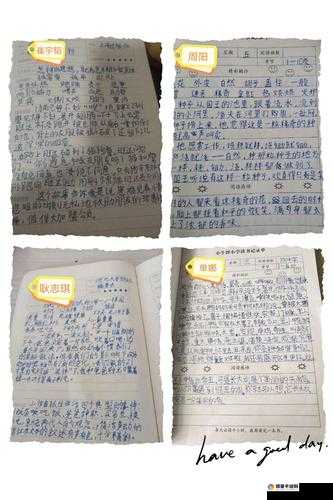 在学校干语文课代表的那些日子里的成长与收获