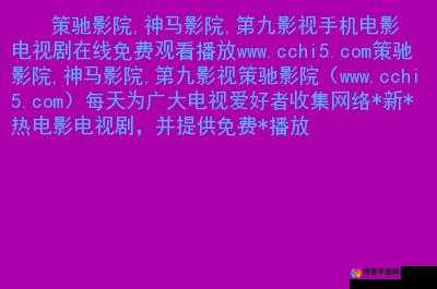 400 款成品视频网站：丰富多样的精彩视频宝库