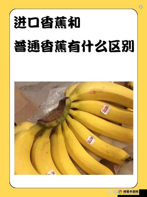 国产香蕉和进口香蕉价格大揭秘：谁更胜一筹？
