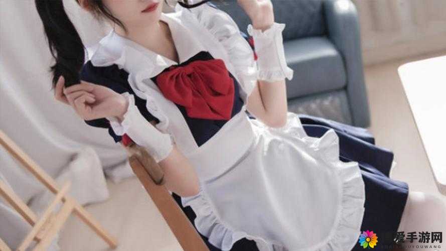 女仆逼逼:关于女仆的那些有趣故事和精彩瞬间