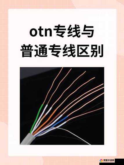 欧亚专线 S 码和 W 码入口一样吗之详细分析与探讨