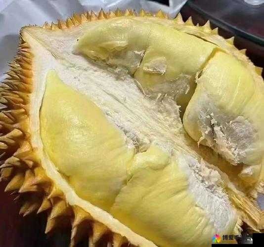 茄子丝瓜草莓香草榴莲大全：蔬菜水果香草榴莲种类介绍