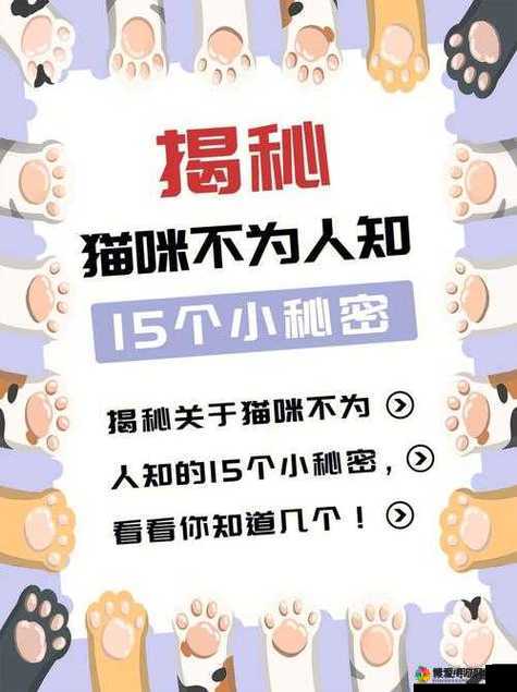 黑料传送门不迷路：带你揭秘众多不为人知的秘密