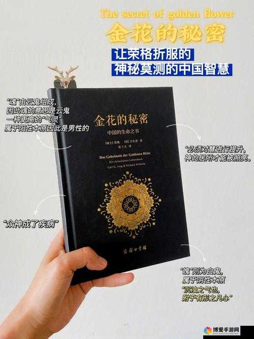 麻花传 MD0084mjgs05：一款独特而神秘的事物等待探索