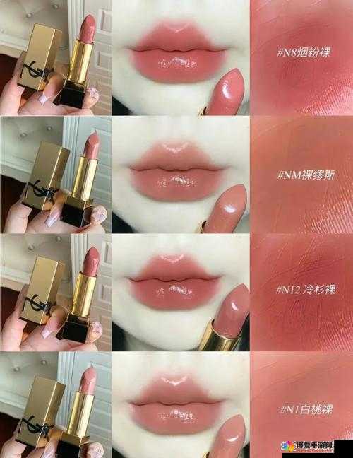 探索 YSL 千人千色的奥秘与独特魅力