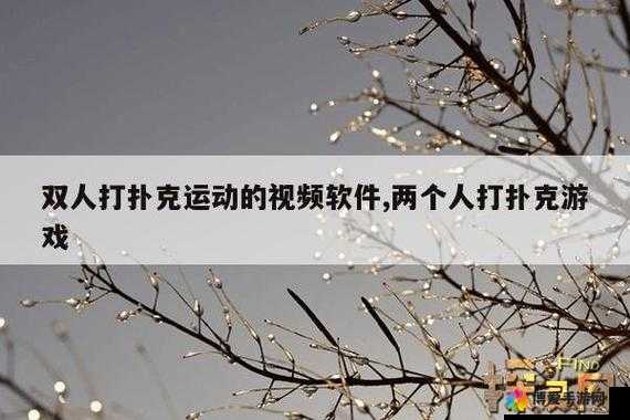 做运动打扑克：让身心愉悦的双重娱乐方式探索