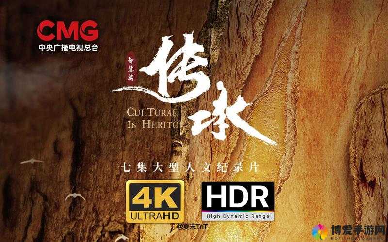 中国老年人老太 daddyTV：探寻他们的精彩生活与智慧传承