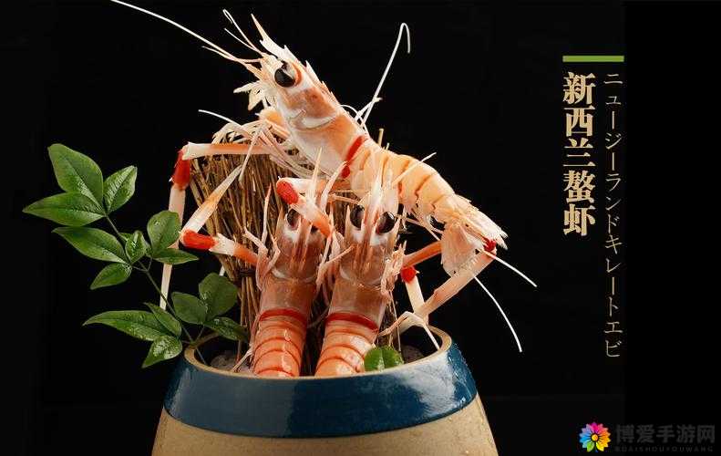 一品鲍 10 破解版：畅享极致美味的非凡体验
