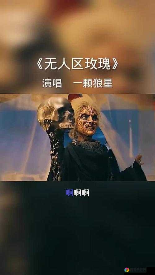 无人区玫瑰 MV 和一颗狼星相似惊人巧合：背后原因引发好奇探索