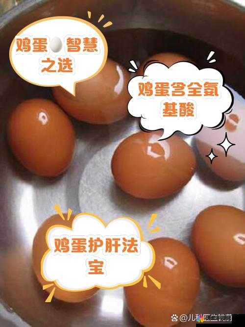 B 里可以放多少个鸡蛋图片：探索鸡蛋存放数量的奥秘