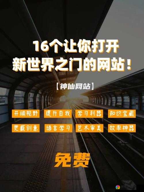 国外 B 站推广网站 ：打开全新的视频世界之门