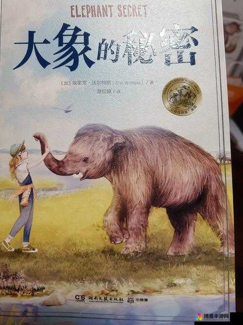 大象回家 2024 秘密人口：探寻背后的故事与意义
