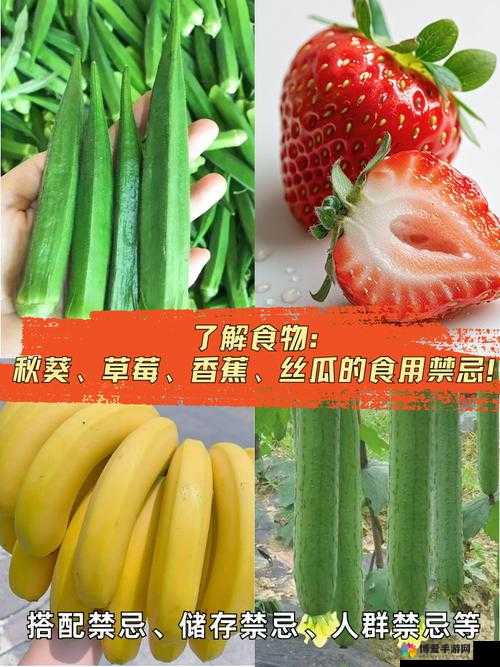 丝瓜草莓向日葵秋葵加油站：多样蔬果与能源的奇妙交汇之所
