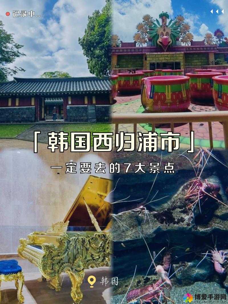忘忧草日本 WWW 韩国：探索异国文化的窗口
