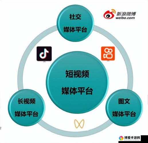 深入交流的视频素材：探索知识与情感的深度连接与互动