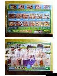 正品日本高清 DVD 生活碟片：畅享高清精彩生活