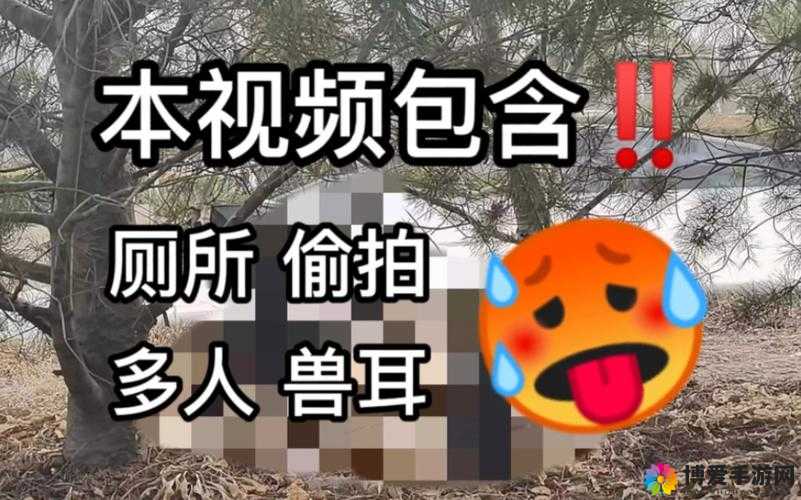 四月最新流出国内厕拍大：震惊私密视频为何流出？