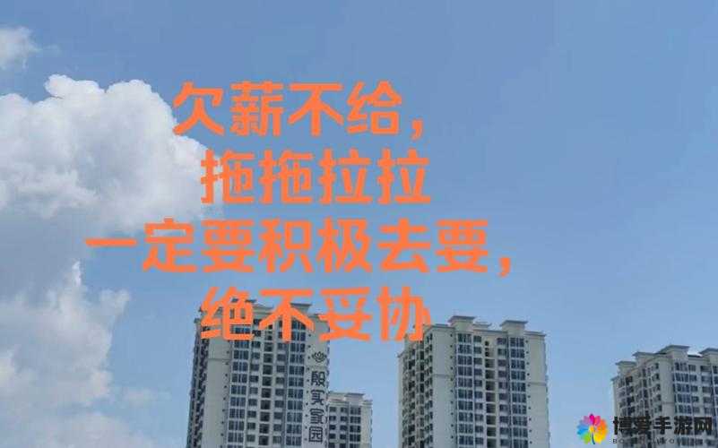 最终还是从了女婿，无奈之举下的妥协与选择