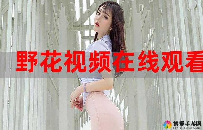 野花韩国大全免费看 8 精彩内容大揭秘