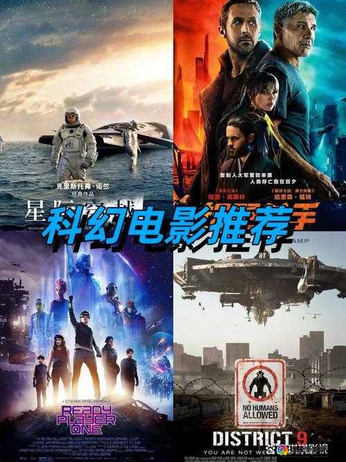 1000 部免费啪：史上最震撼的免费观影体验