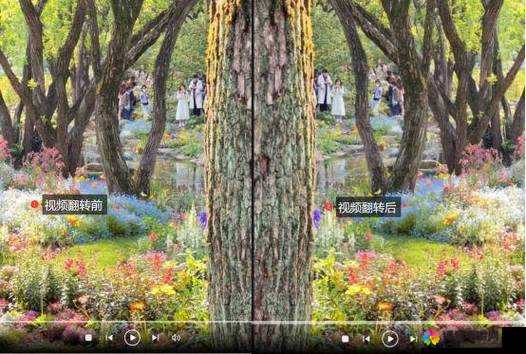 色多多免费视频带来独特视觉体验与精彩内容分享