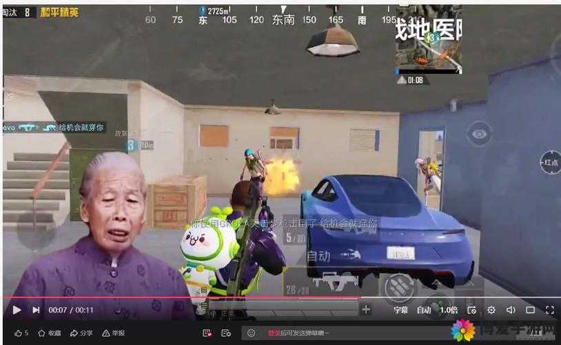 bgmbgmbgm 老太太毛 16：揭秘背后的故事