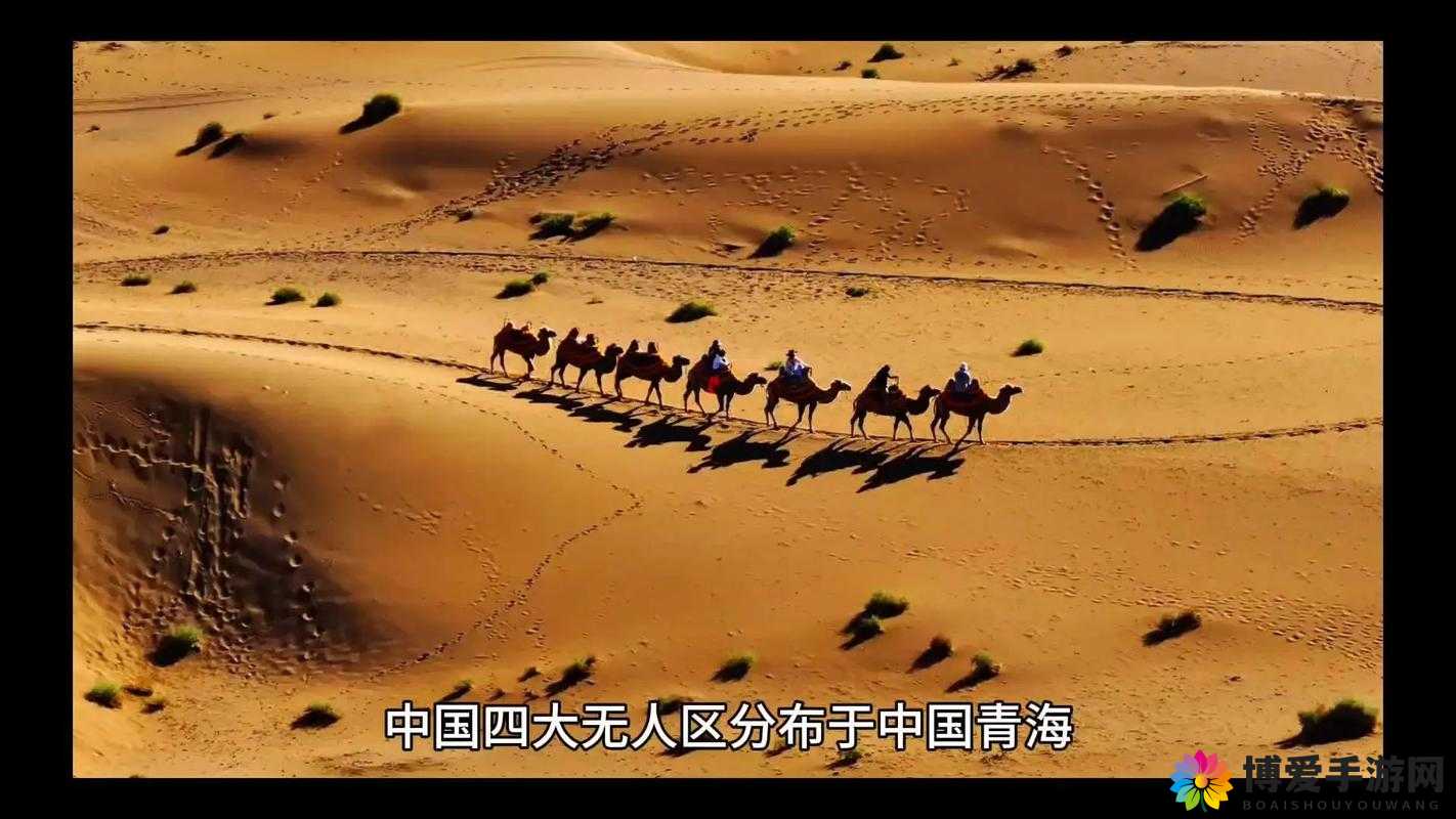 2024国产无人区卡一卡二卡三：探寻其背后的神秘与挑战