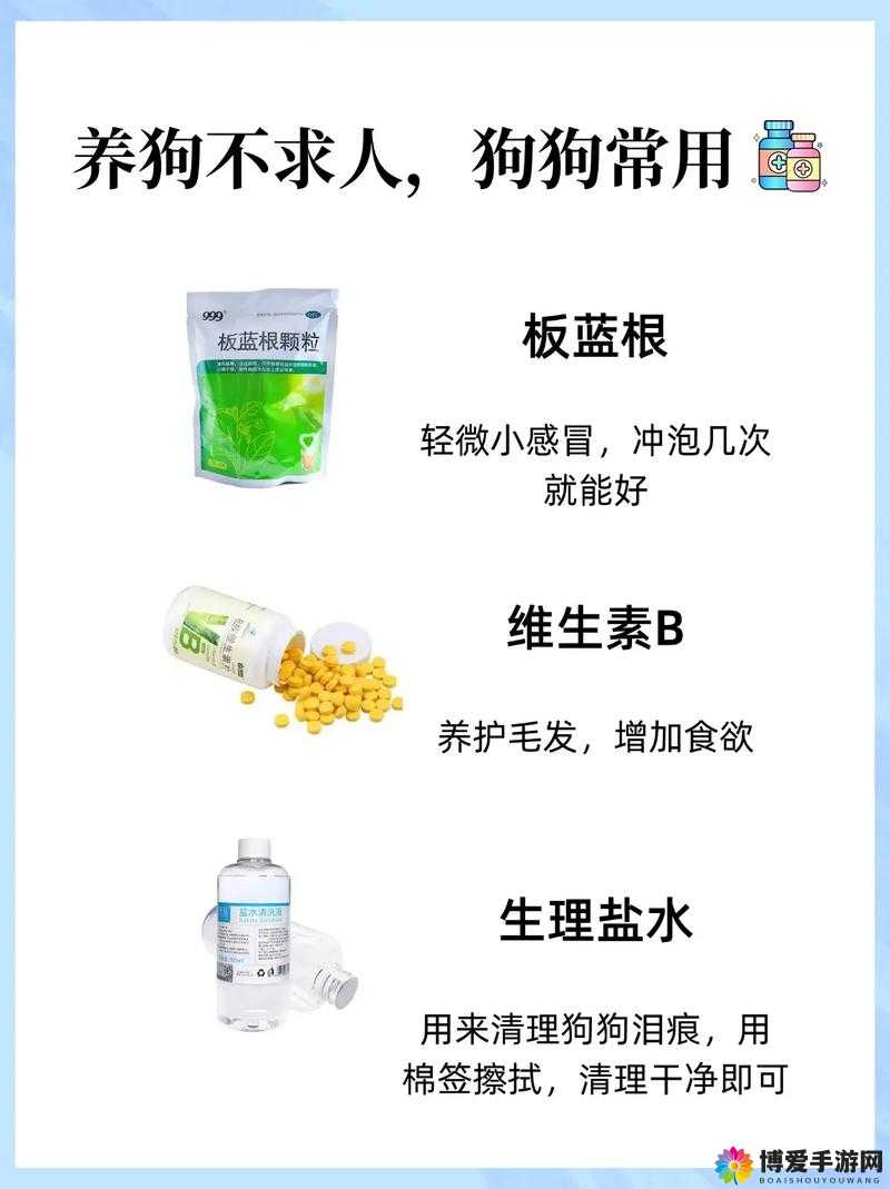 人狗胶配方大全狗狗使用：科学喂养，关爱宠物健康