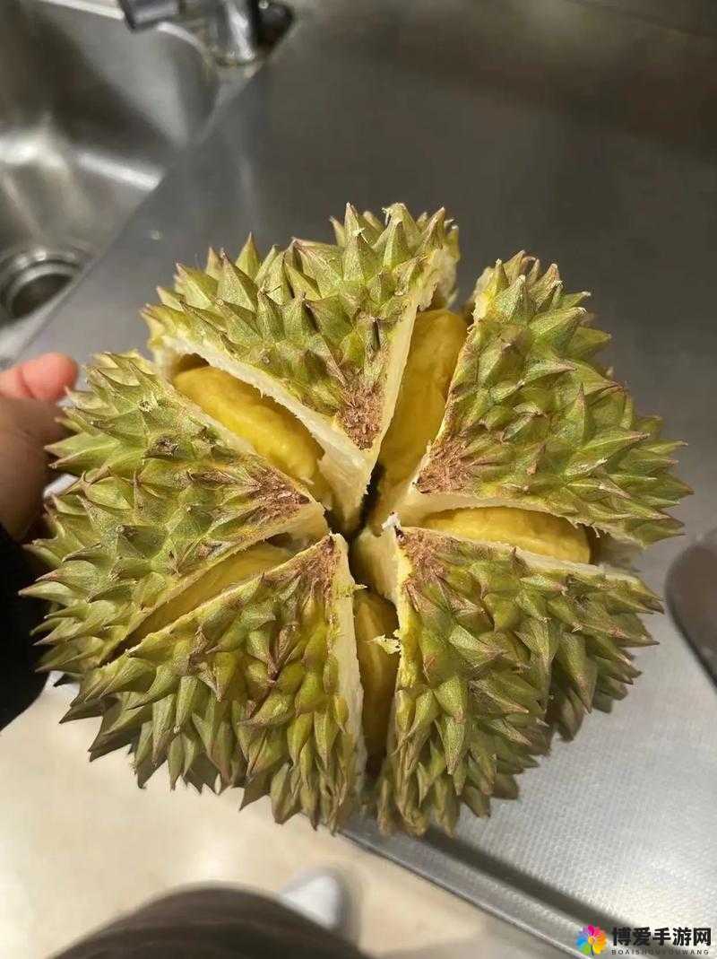 丝瓜草莓秋葵榴莲的奇妙组合与独特魅力