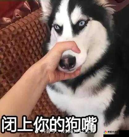 啊～你tm别舔了：这到底是怎么回事啊