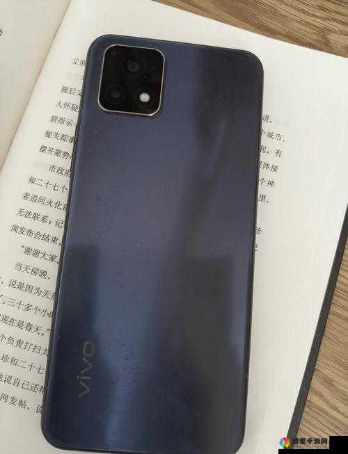 高质量一级成色好的 y31s 标准版评测：全方位深度解析其卓越表现