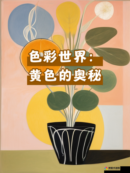 璜铯入口：探索其背后的奥秘与无限可能