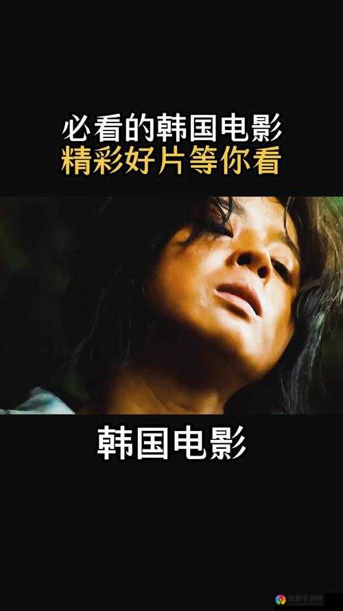 日本韩国一级在线观看：精彩影片等你探索