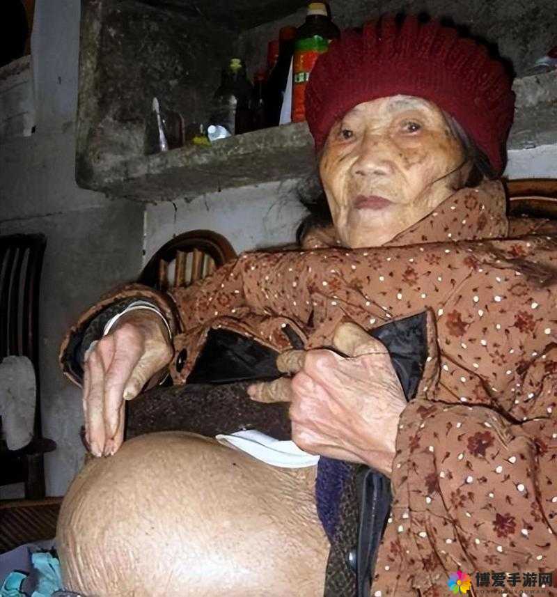 震惊老太太毛 16 的秘密竟然是……