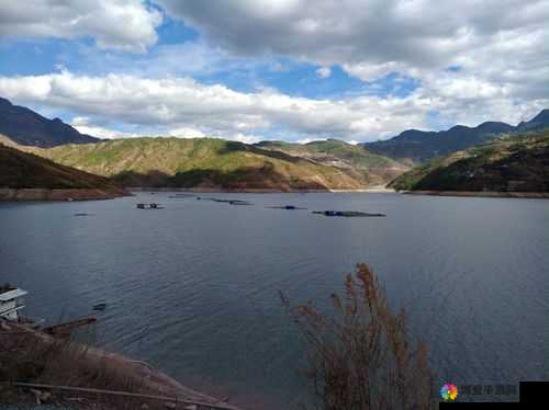 药效 1V2HPO 江漾：卓越治疗效果显著凸显