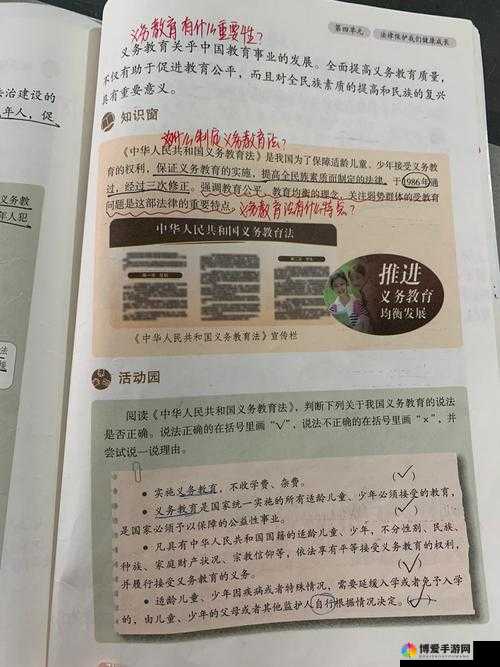 男人插女人网站:成年人内容泛滥,道德与法律界限何在?