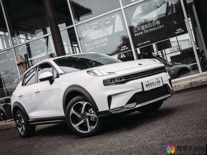 国产又美又漂亮的 SUV：展现独特魅力引领时尚潮流的国产汽车骄傲