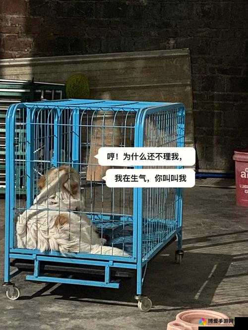 老牛嫩草一二三产品因区别而带来的不一样快感剖析