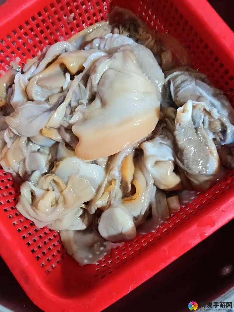 狂涨肥白的玲珑的肉蚌：让人垂涎欲滴的美味食材