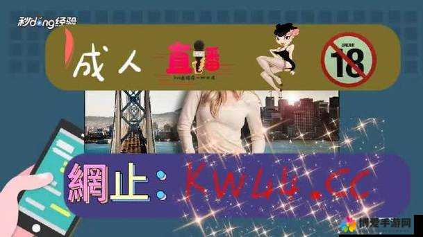 野花社区 WWW 三无限播放：高清免费畅享，无尽精彩不断
